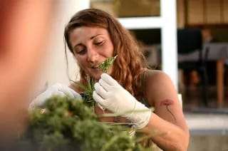 La Dra. Florencia Ferrari presentó la charla «Pergamino se planta» acerca de los usos terapéuticos del Cannabis.