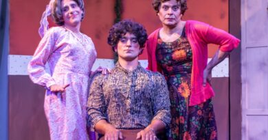 «La prudencia» llega este viernes a las 21:00 horas a la sala del Teatro TAFS con un destacado elenco de Pergamino. Hablamos en la previa con el actor Gustavo Bevacqua.