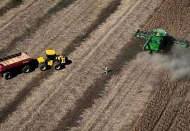 La Justicia ordenó preservar información sobre tierras rurales bonaerenses